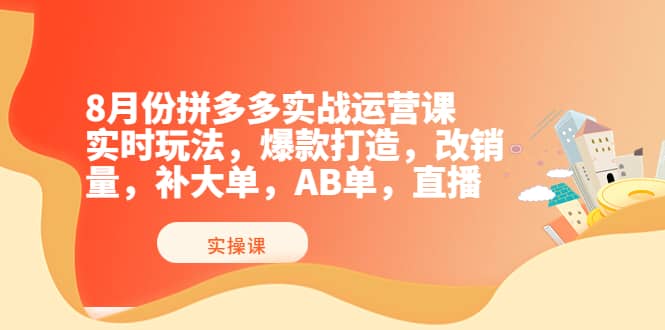 8月份拼多多实战运营课，实时玩法，爆款打造，改销量，补大单，AB单，直播-九节课