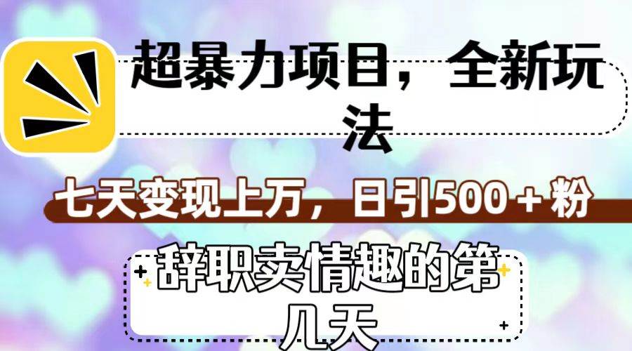 超暴利项目，全新玩法（辞职卖情趣的第几天），七天变现上万，日引500+粉-九节课