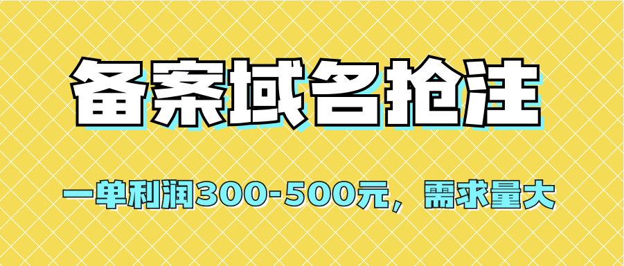 【全网首发】备案域名抢注，一单利润300-500元，需求量大-九节课