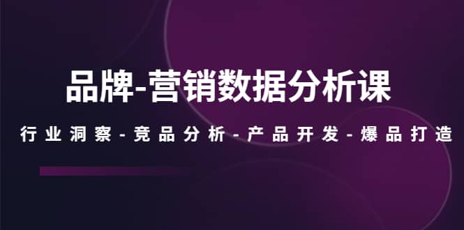 品牌-营销数据分析课，行业洞察-竞品分析-产品开发-爆品打造-九节课