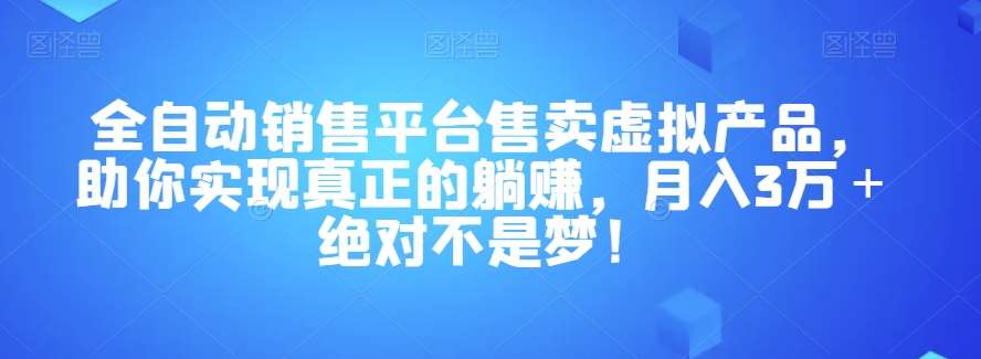 全自动销售平台售卖虚拟产品，助你实现真正的躺赚，月入3万＋绝对不是梦！【揭秘】-九节课