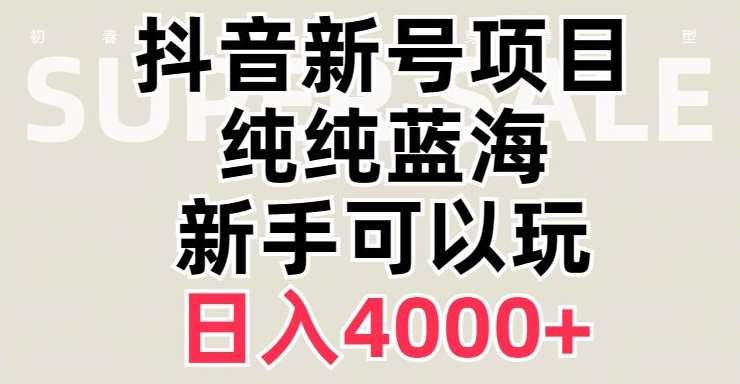 抖音蓝海赛道，必须是新账号，日入4000+【揭秘】-九节课