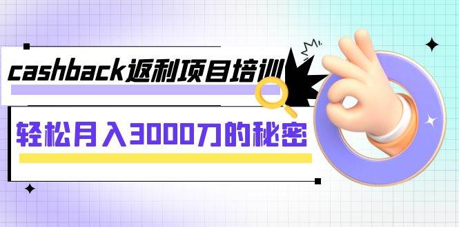 cashback返利项目培训：轻松月入3000刀的秘密（8节课）-九节课