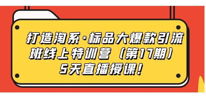 打造淘系·标品大爆款引流班线上特训营5天直播授课！-九节课