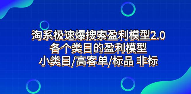 淘系极速爆搜索盈利模型2.0，各个类目的盈利模型，小类目/高客单/标品 非标-九节课