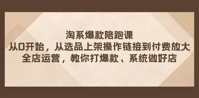 淘系爆款陪跑课 从选品上架操作链接到付费放大 全店运营 打爆款 系统做好店-九节课