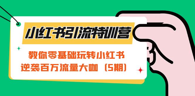 小红书引流特训营-第5期：教你零基础玩转小红书，逆袭百万流量大咖-九节课