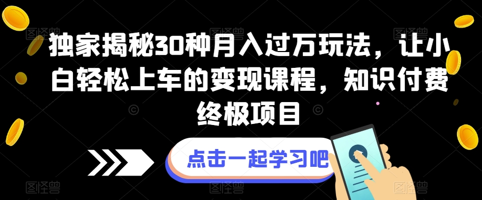 独家揭秘30种月入过万玩法，让小白轻松上车的变现课程，知识付费终极项目【揭秘】-九节课