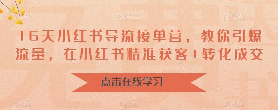 16天-小红书 导流接单营，教你引爆流量，在小红书精准获客+转化成交-九节课