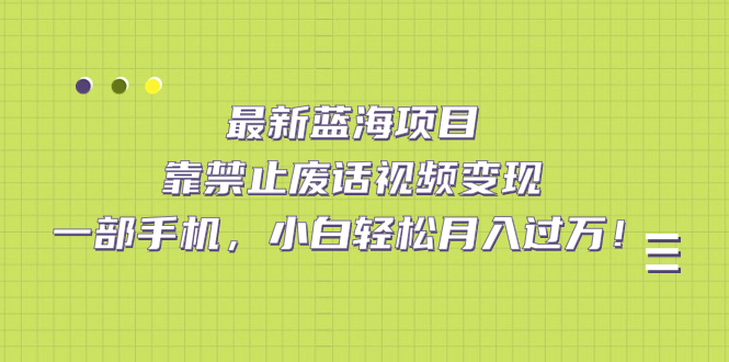 最新蓝海项目，靠禁止废话视频变现，一部手机，小白轻松月入过万！-九节课