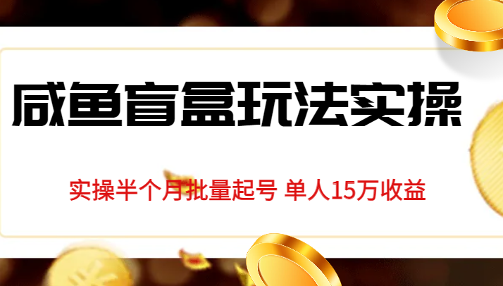 独家首发咸鱼盲盒玩法实操，半个月批量起号单人15万收益揭秘-九节课