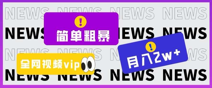 简单粗暴零成本，高回报，全网视频VIP掘金项目，月入2万＋【揭秘】-九节课