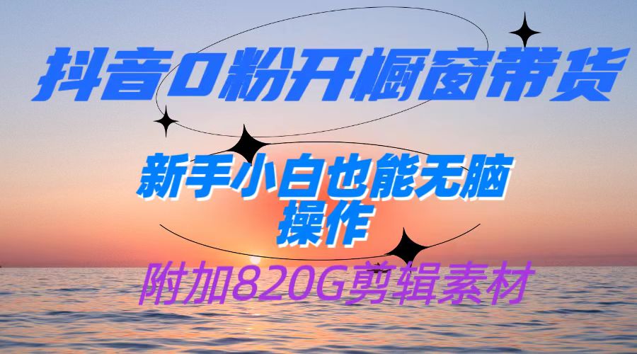 抖音0粉开橱窗带货，日入500+，新手小白也能无脑操作【附加820G剪辑资料】-九节课