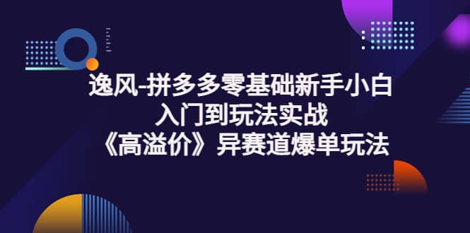 拼多多零基础新手小白入门到玩法实战《高溢价》异赛道爆单玩法实操课-九节课