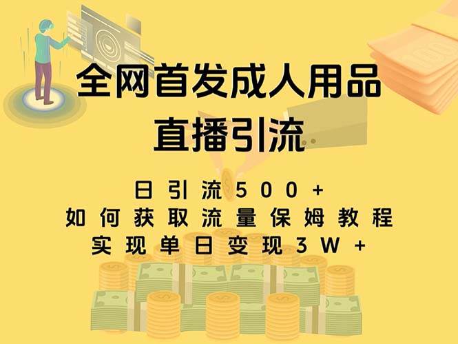 最新全网独创首发，成人用品直播引流获客暴力玩法，单日变现3w保姆级教程-九节课