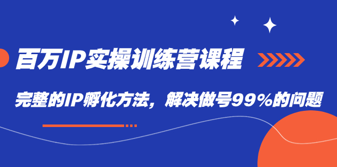 百万IP实战训练营课程，完整的IP孵化方法，解决做号99%的问题-九节课