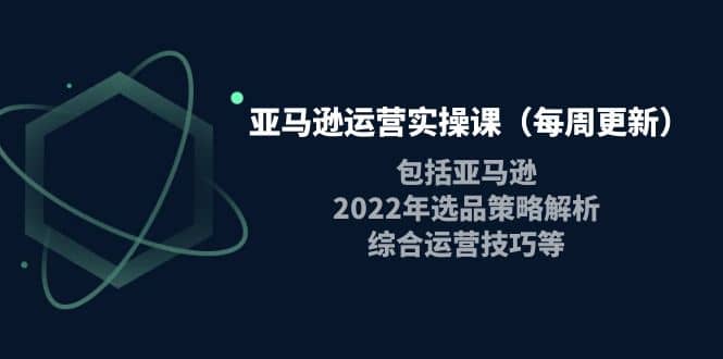 亚马逊运营实操课（每周更新）包括亚马逊2022选品策略解析，综合运营技巧等-九节课