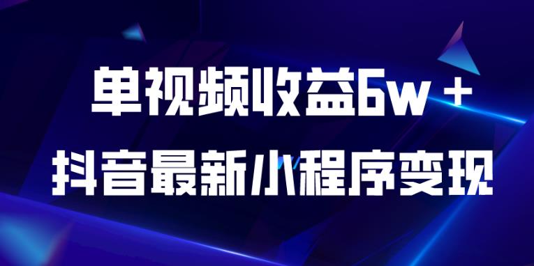 抖音最新小程序变现项目，单视频收益6w＋，小白可做【揭秘】-九节课