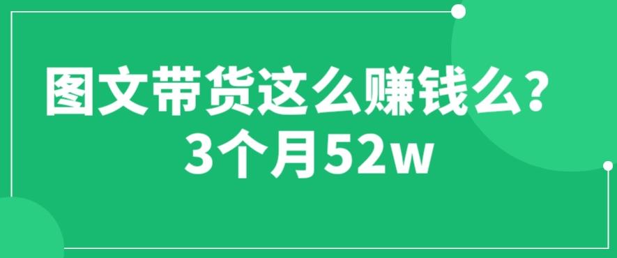 图文带货这么赚钱么? 3个月52W 图文带货运营加强课【揭秘】-九节课