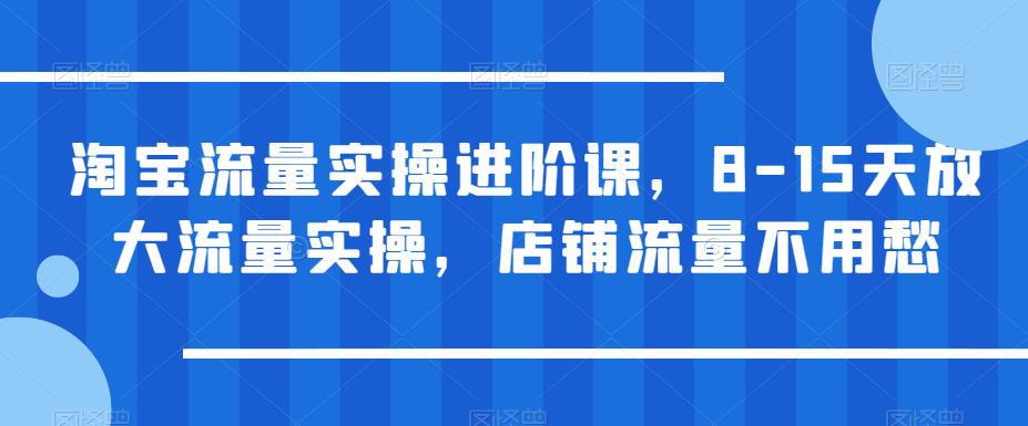 淘宝流量实操进阶课，8-15天放大流量实操，店铺流量不用愁-九节课