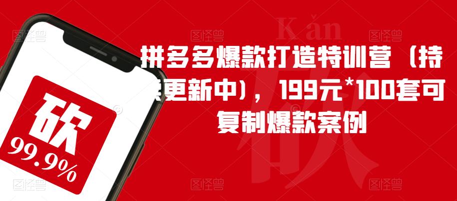 拼多多爆款打造特训营（持续更新中)，199元*100套可复制爆款案例-九节课