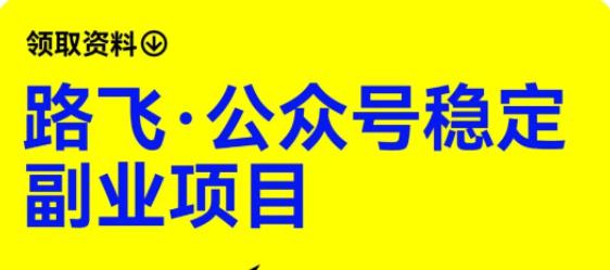 路飞·公众号稳定副业项目，你只要无脑去推广，粉丝和收入，自然就来了-九节课