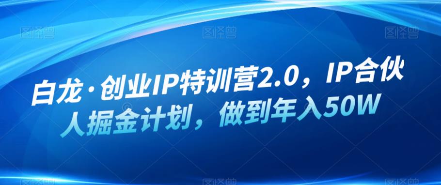 白龙·创业IP特训营2.0，IP合伙人掘金计划，做到年入50W-九节课