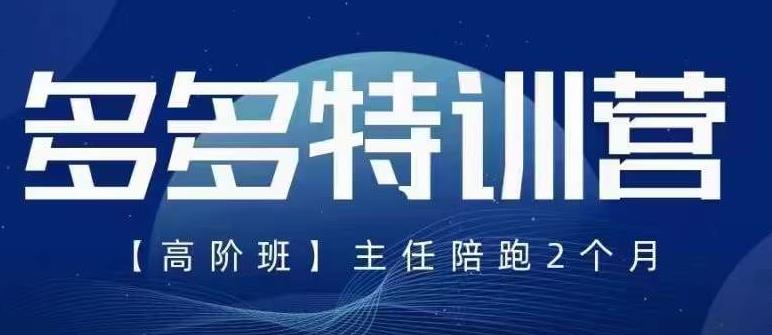 纪主任·5月最新多多特训营高阶班，玩法落地实操，多多全掌握-九节课