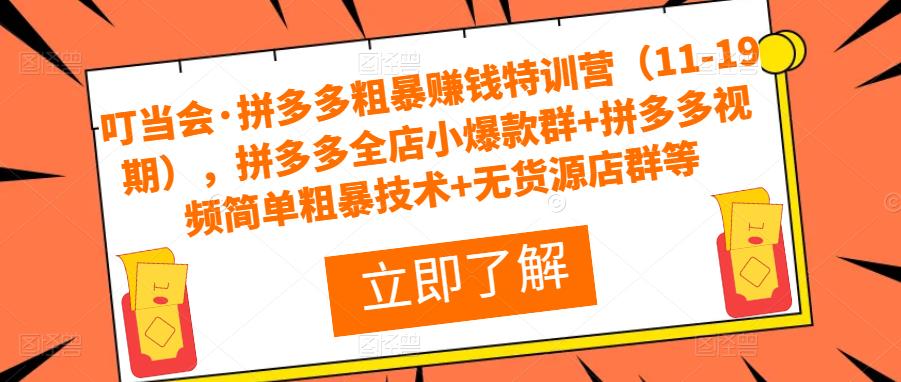 叮当会·拼多多粗暴赚钱特训营，拼多多全店小爆款群+拼多多视频简单粗暴技术+无货源店群等-九节课