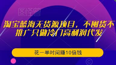 淘宝蓝海无货源项目，不囤货不推广只做冷门高利润代发，花一半时间赚10倍钱-九节课