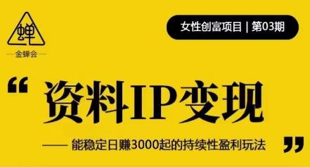 资料IP变现，能稳定日赚3000起的持续性盈利玩法-九节课