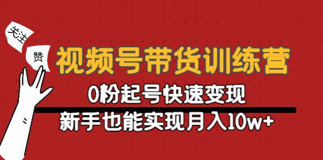 视频号带货训练营：0粉起号快速变现，新手也能实现月入10w+-九节课