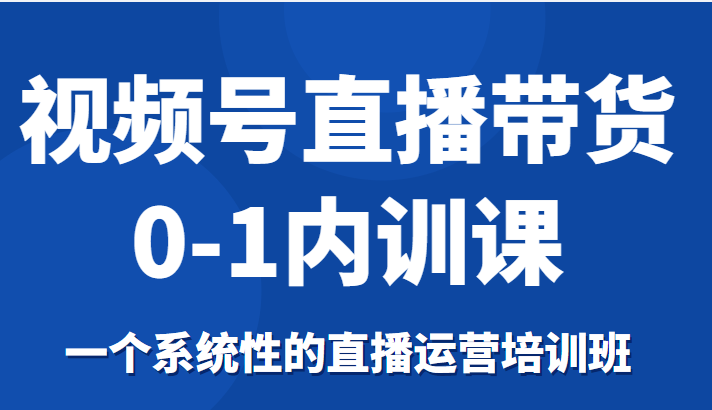 视频号直播带货0-1内训课，一个系统性的直播运营培训班-九节课