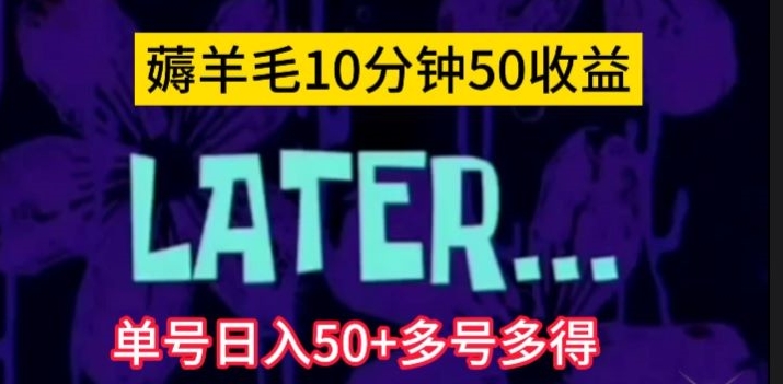 美团薅羊毛玩法，单号日入50+多号多得【仅揭秘】-九节课