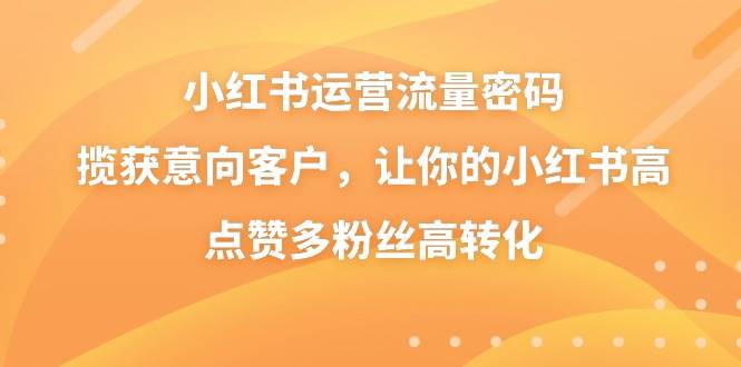 小红书运营流量密码，揽获意向客户，让你的小红书高点赞多粉丝高转化-九节课