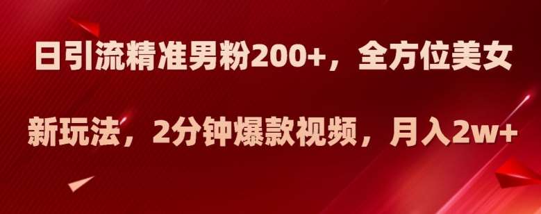 日引流精准男粉200+，全方位美女新玩法，2分钟爆款视频，月入2w+【揭秘】-九节课