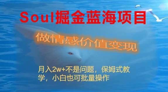 Soul掘金蓝海项目细分赛道，做情感价值变现，月入2w+不是问题-九节课