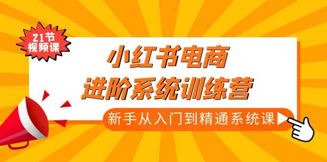 小红书电商进阶系统训练营：新手从入门到精通系统课（21节视频课）-九节课