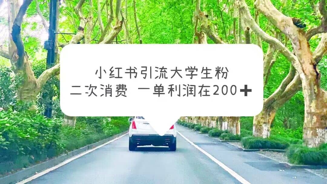 小红书引流大学生粉，变现项目，一单利润在200+（教程+资源）-九节课