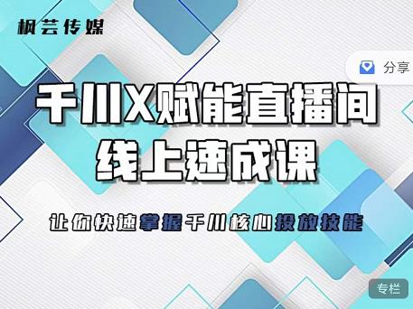 枫芸传媒-线上千川提升课，提升千川认知，提升千川投放效果-九节课