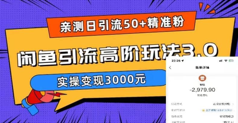 实测日引50+精准粉，闲鱼引流高阶玩法3.0，实操变现3000元-九节课