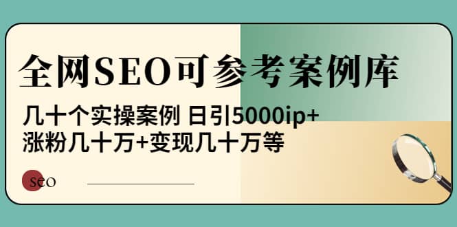 《全网SEO可参考案例库》几十个实操案例-九节课