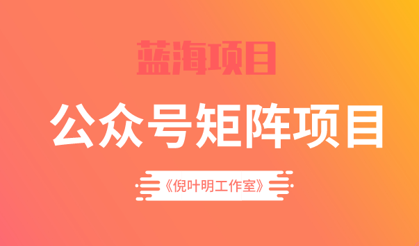 蓝海公众号矩阵项目训练营，0粉冷启动，公众号矩阵账号粉丝突破30w-九节课