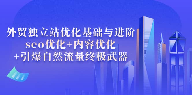 外贸独立站优化基础与进阶，seo优化+内容优化+引爆自然流量终极武器-九节课