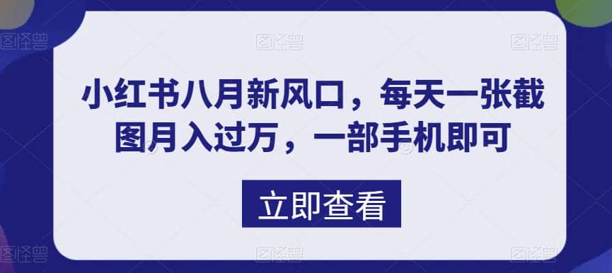 八月新风口，小红书虚拟项目一天收入1000+，实战揭秘-九节课