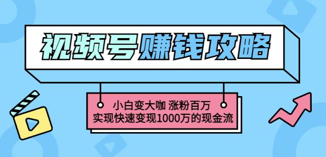 玩转微信视频号赚钱：小白变大咖涨粉百万实现快速变现1000万的现金流-九节课