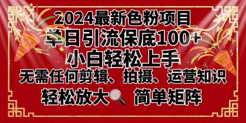 2024最新换脸项目，小白轻松上手，单号单月变现3W＋，可批量矩阵操作放大-九节课