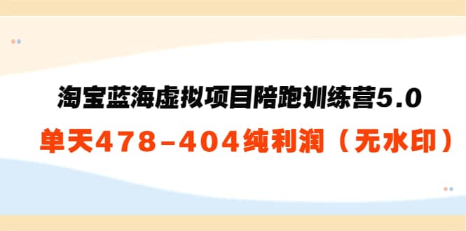 淘宝蓝海虚拟项目陪跑训练营5.0：单天478纯利润（无水印）-九节课