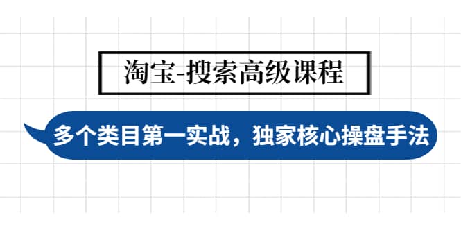 淘宝-搜索高级课程：多个类目第一实战，独家核心操盘手法-九节课