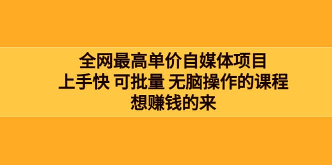 全网最单高价自媒体项目：上手快 可批量 无脑操作的课程，想赚钱的来-九节课